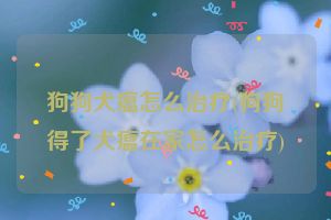 狗狗犬瘟怎么治疗(狗狗得了犬瘟在家怎么治疗)