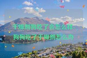 干燥剂狗吃了会怎么样-狗狗吃了干燥剂怎么办