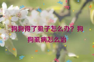 狗狗得了虱子怎么办？狗狗虱病怎么治