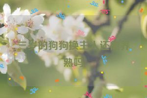 三岁的狗狗换主人还能养熟吗