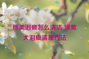 博美泪痕怎么清洁 博美犬泪痕清理方法