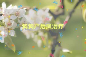 狗狗产后风治疗