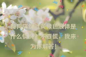 狗狗突然吐黄绿色液体是什么情况？不要慌，我来为你解答！