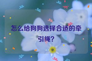 怎么给狗狗选择合适的牵引绳？