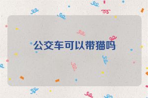 公交车可以带猫吗