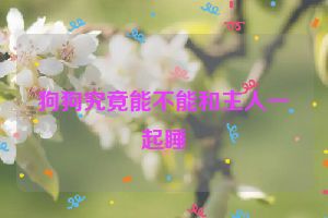 狗狗究竟能不能和主人一起睡