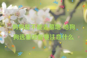 狗狗能不能去墓地-给狗狗选墓地需要注意什么