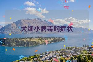 犬细小病毒的症状