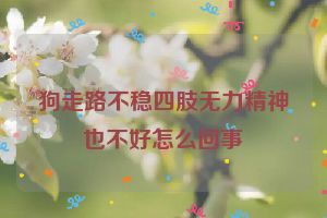 狗走路不稳四肢无力精神也不好怎么回事