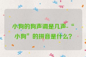 小狗的狗声调是几声-“小狗”的拼音是什么？