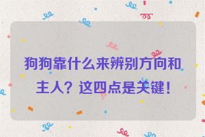 狗狗靠什么来辨别方向和主人？这四点是关键！