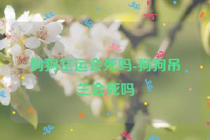 狗狗空运会死吗-狗狗吊兰会死吗