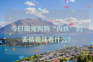 今日萌宠狗狗“内疚”的表情意味着什么？