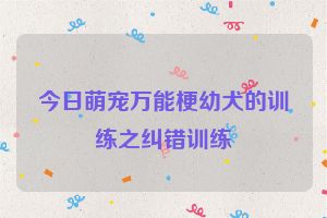今日萌宠万能梗幼犬的训练之纠错训练