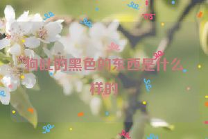 狗吐的黑色的东西是什么样的