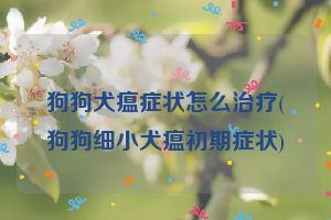 狗狗犬瘟症状怎么治疗(狗狗细小犬瘟初期症状)