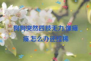 狗狗突然四肢无力,像瘫痪,怎么办还拉稀