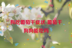 狗吃葡萄干症状-葡萄干狗狗能吃吗