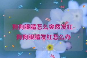 狗狗眼睛怎么突然发红-狗狗眼睛发红怎么办