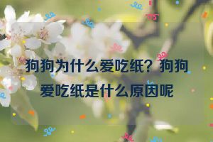 狗狗为什么爱吃纸？狗狗爱吃纸是什么原因呢