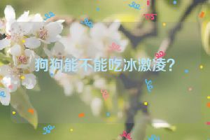 狗狗能不能吃冰激凌？