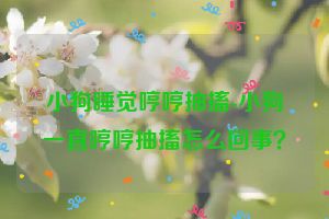 小狗睡觉哼哼抽搐-小狗一直哼哼抽搐怎么回事？