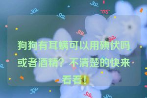 狗狗有耳螨可以用碘伏吗或者酒精？不清楚的快来看看！