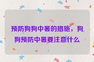 预防狗狗中暑的措施，狗狗预防中暑要注意什么