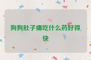 狗狗肚子痛吃什么药好得快