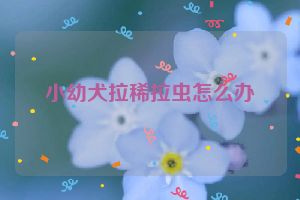 小幼犬拉稀拉虫怎么办