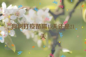 狗狗打疫苗隔15天还是21天