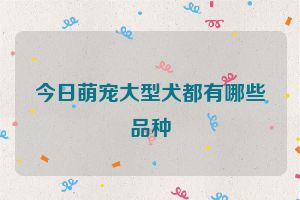 今日萌宠大型犬都有哪些品种