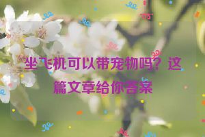 坐飞机可以带宠物吗？这篇文章给你答案