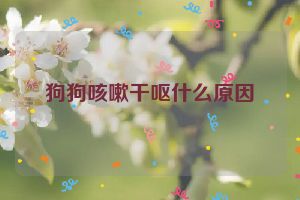 狗狗咳嗽干呕什么原因