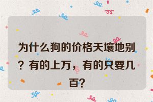 为什么狗的价格天壤地别？有的上万，有的只要几百？