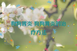 狗狗胃炎 狗狗胃炎的治疗方法