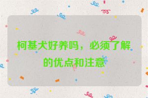 柯基犬好养吗,必须了解的优点和注意