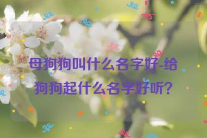 母狗狗叫什么名字好-给狗狗起什么名字好听？