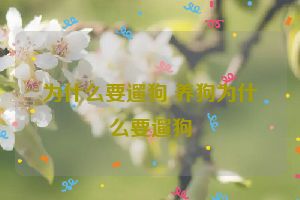 为什么要遛狗 养狗为什么要遛狗