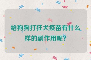 给狗狗打狂犬疫苗有什么样的副作用呢？