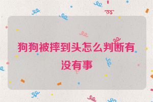 狗狗被摔到头怎么判断有没有事