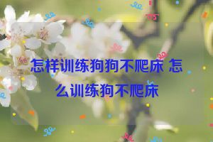 怎样训练狗狗不爬床 怎么训练狗不爬床