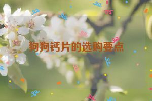 狗狗钙片的选购要点