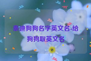 泰迪狗狗名字英文名-给狗狗取英文名