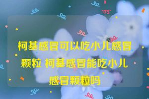 柯基感冒可以吃小儿感冒颗粒 柯基感冒能吃小儿感冒颗粒吗