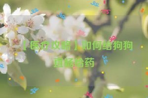 【医疗攻略】如何给狗狗直肠给药