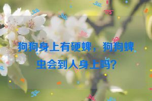 狗狗身上有硬蜱，狗狗蜱虫会到人身上吗？