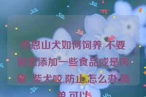 伯恩山犬如何饲养 不要随意添加一些食品或是肉罐_柴犬咬,防止,怎么办,简单,可以