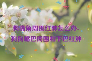 狗嘴角周围红肿怎么办-狗狗嘴巴周围和下巴红肿