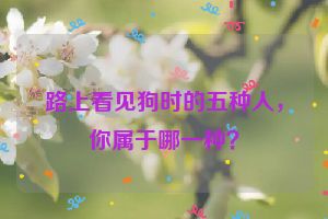路上看见狗时的五种人，你属于哪一种？